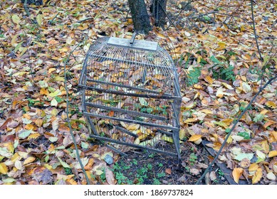 One Old Gray Metal Broken Birdcage Stands Among Fallen Yellow And Brown Fallen Leaves In An Autumn Park