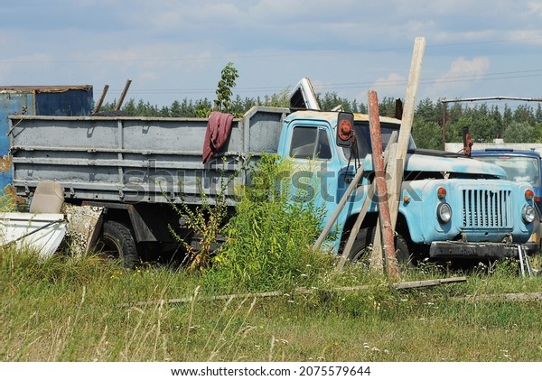 one old truck with a blue cabin is standing in the
green grass on nature