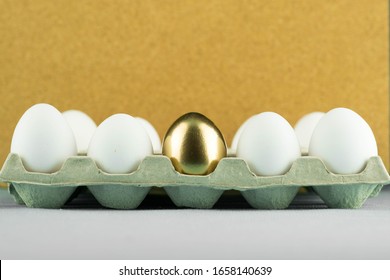 One on anly unique golden egg among plain, simple white eggs in paper tray. Concept of leadership, talent, being gifted and extremely talented.