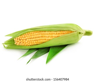 One On Ear Of Corn Isolated On A White Background 