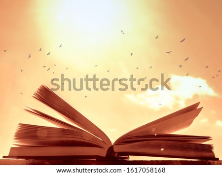 one open book and yellow sunny sky lie on opened window. back to school idea. birds flying above horizon. 