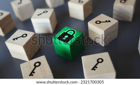 One padlock with many keys, metaphor of problems, solutions and risk management;