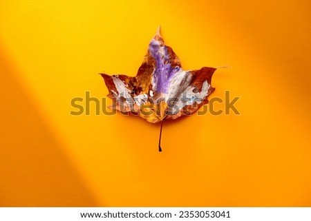 
One Painted Dry leaf on a Yellow Autumn Backdrop. Wonderful background with a unique hand painted symbol of fall season

