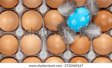 One painted easter egg among unpainted ones in carton. Celebration Easter. Eggs in box. Healthy Farm Food in eco packaging. Holiday easter decoration.