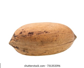 One Pecan  Nut  Isolated On A White Background