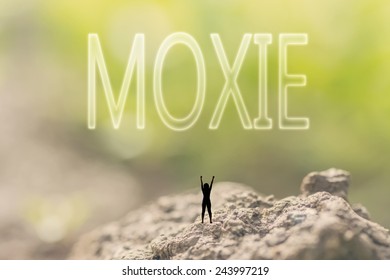one person stand in the outdoor and looking up text on nature background, concept of courage - Shutterstock ID 243997219