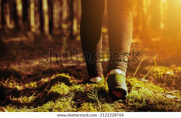one person walking in the\
woods