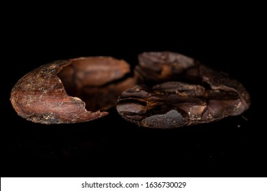 One Piece Of Fresh Brown Cocoa Bean Husk Isolated On Black Glass