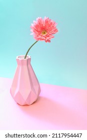 One Pink Gerbera Flower In Vase On Pastel Two Tone Pink-turquoise. Creative Minimal Floral Concept.