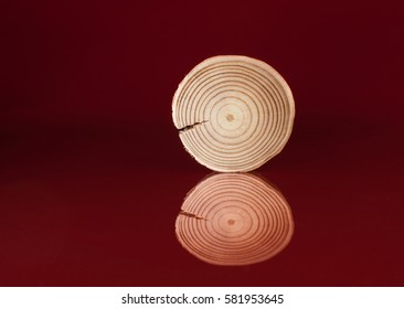 One polished pine saw cut stand on glossy surface and his reflection on red background.