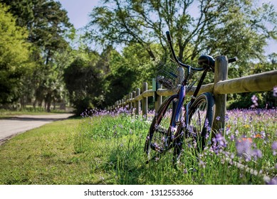One Purple Beach Cruiser Bike With Basket Rests On A Wood Split Rail Fence In A Field Of Orange And Purple Wildflowers On A Sunny Day. Lifestyle And Leisure Concept.