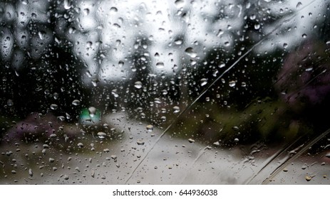 One Rainy Summer Afternoon In Yumthang Valley, North Sikkim, India