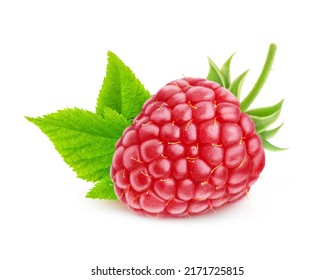 One rasberry fruit close up with leaf and stem isolated on white background