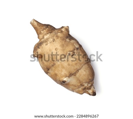 One raw Jerusalem artichoke isolated on white [[stock_photo]] © 