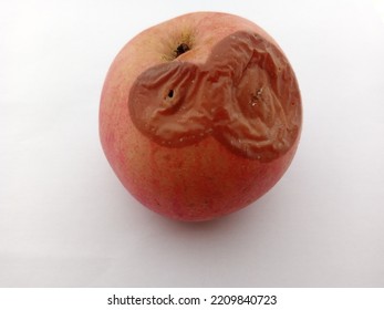 One Red Apple Id Too Ripe So Some Start To Rot With White Background 