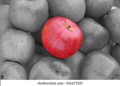 One Red Apple On White And Black Apples.