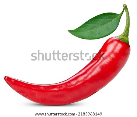 One red hot chili pepper isolated on white background. Cayenne pepper with leaves clipping path