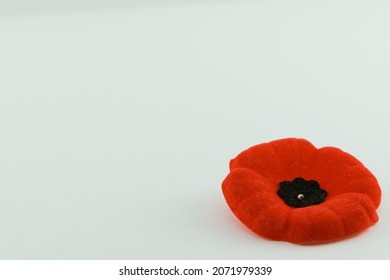 One red poppy in the right corner of a white background with copy space.