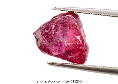 One red ruby crystal held by tweezers