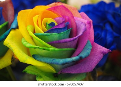 Rose rainbow Images, Stock Photos & Vectors | Shutterstock