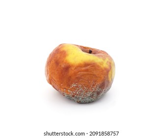 One Rotten Apple Isolated On A White Background.