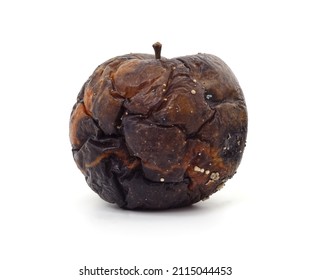 One Rotten Apple Isolated On A White Background.