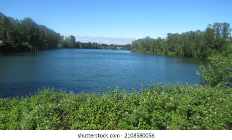 One Side Of Horseshoe Lake