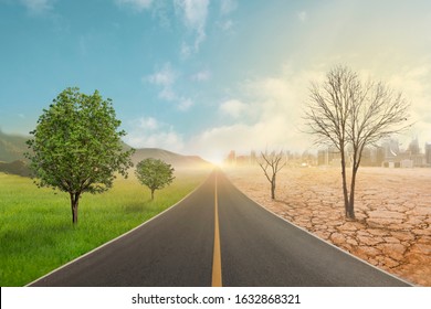 One side of the road shows the green nature, and the other side shows the dryness, dead trees, broken soil.Global warming and pollution theme. 