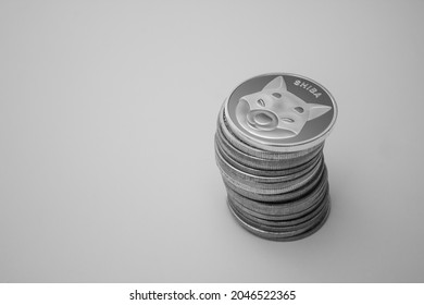 One Silver Shiba Coin Over White Background