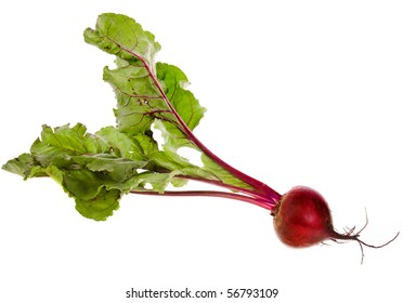 One Single Beet , Beetroot , Table Beet  isolated on white - Powered by Shutterstock