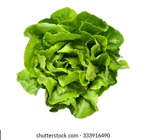 One Single Lettuce Salad Leaf Close Up Top View Surface Isolated On White Background