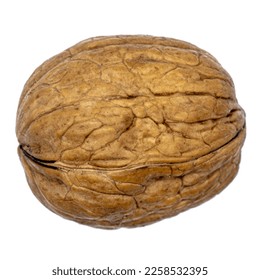 one single walnut in uncracked nutshell, transparent background