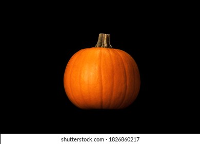 One Small Orange Pumpkin Lighten By Dramatic Studio Light Isolated On Dark Background.