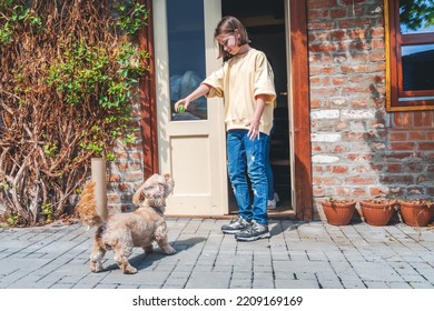 One Smiling Caucasian Teen Girl Playing With A Dog In The Yard