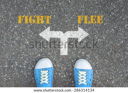One standing at the crossroad choosing what to do next - fight or flee