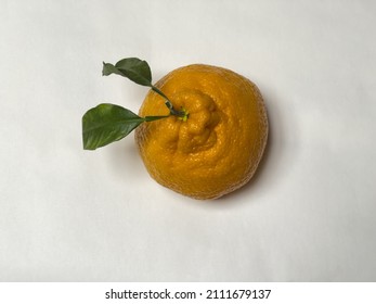 One Sumo Orange On White Background