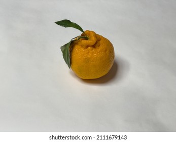 One Sumo Orange On White Background