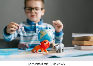 One Toddler Child Studies The Animal World With The Help Of A Map And Toy Animals: Lion, Deer, Zebra, Rhinoceros