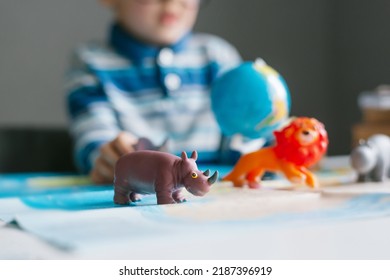 One Toddler Child Studies The Animal World With The Help Of A Map And Toy Animals: Lion, Deer, Zebra, Rhinoceros