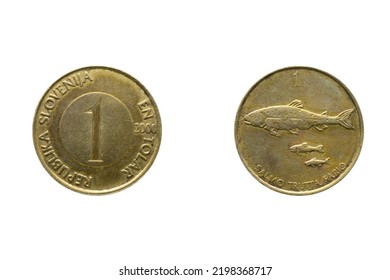 One Tolar Coin Year 2000, Slovenia