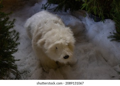 One Toy In The Fake Snow. A Polar White Bear Cub Among The Bi Fir Branches. Christmas Decoration. Bear Lair.