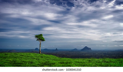 One Tree Hill Maleny Queensland