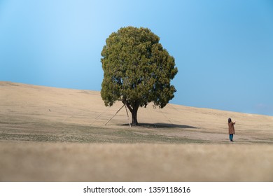 One Tree Olympic Park Seoul ,Seoul, South Korea