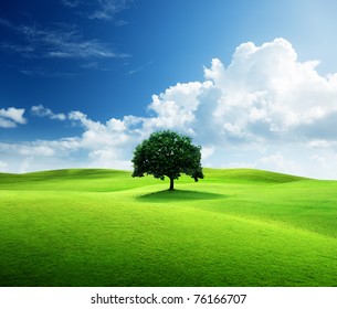 one tree and perfect grass field ภาพถ่ายสต็อก