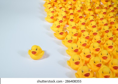 One is unfollow from Group of yellow rubber duck