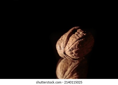 One Walnut Close-up. Healthy Food. Macro. Copy Space. Beautiful Still Life On Dark Background. Ingredient. Useful Brain Nutrients. Nut Is A Tasty Diet Snack. Brown Color. Wallpaper. Photo Art. Banner.