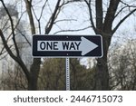 One way sign in the park