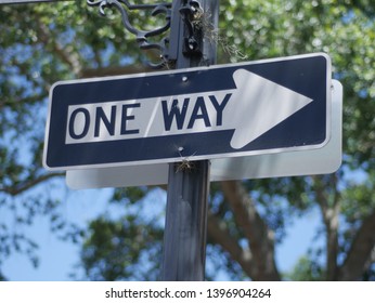 One Way Traffic Sign With A Tree