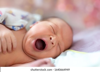 One Week Newborn Adorable Innocent Baby Lying At Baycot And Funny Yawning.Portrait Of Sleepy Caucasian Infant Tired Child On Bed. Wide Open Mouth And Closed Eyes New Born Human Kid