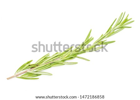 Similar – Image, Stock Photo green branches of needles on a white background